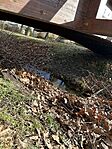 IMG_4214