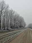 IMG_20250101_131155_1