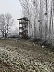 IMG_20250101_131858