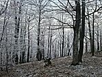 20250102_074827