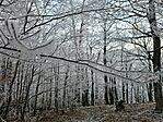 20250102_080422
