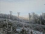 20250102_090300