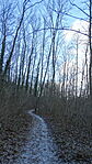 DSC01446