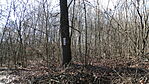 DSC01472