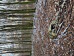 GCFV_20250111_151631