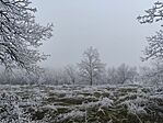 IMG_20250101_124621