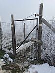 IMG_20250101_131341