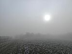 IMG_20250101_131429