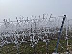 IMG_20250101_132408