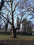 IMG_20250102_140608