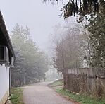 IMG_20250104_212236