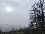IMG_20250104_123952