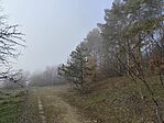 IMG_20250104_123956