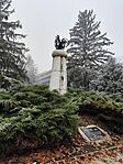 IMG_20241231_131351