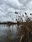 IMG_20250107_092518
