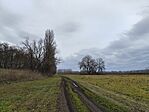 IMG_20250107_123927