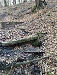 IMG_20250111_131946