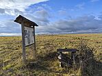 IMG_20250112_140439