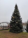 IMG_20250118_121624