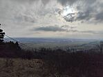 IMG_20250125_134010