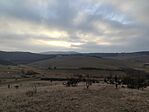IMG_20250125_153124