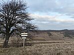 IMG_20250125_153452