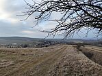 IMG_20250125_153509