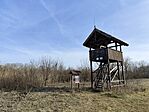 IMG_20250126_122530