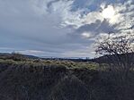 IMG_20250128_112404