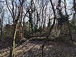 IMG_20250128_112924