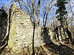 IMG_20250128_113050