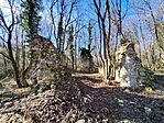 IMG_20250128_114002
