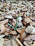 IMG_20250128_145247