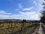 IMG_20250128_115753