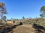 IMG_20250130_112815
