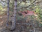 IMG_20250130_114234