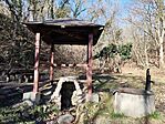 IMG_20250130_110132