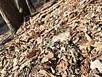 IMG_20250130_131110