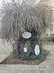 IMG_20241231_110736