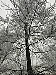 IMG_20250118_115806