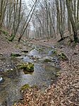 IMG_20250125_113129