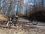 IMG_20250104_120324050