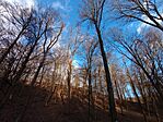 IMG_20250111_143130288