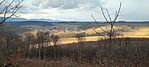 IMG_20250111_145437