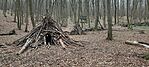 IMG_20250111_124201