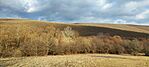 IMG_20250111_133512