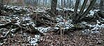 IMG_20250119_162108
