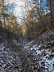 IMG_20250104_124807