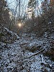 IMG_20250104_124922