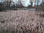 GCDTT_20250103_162234
